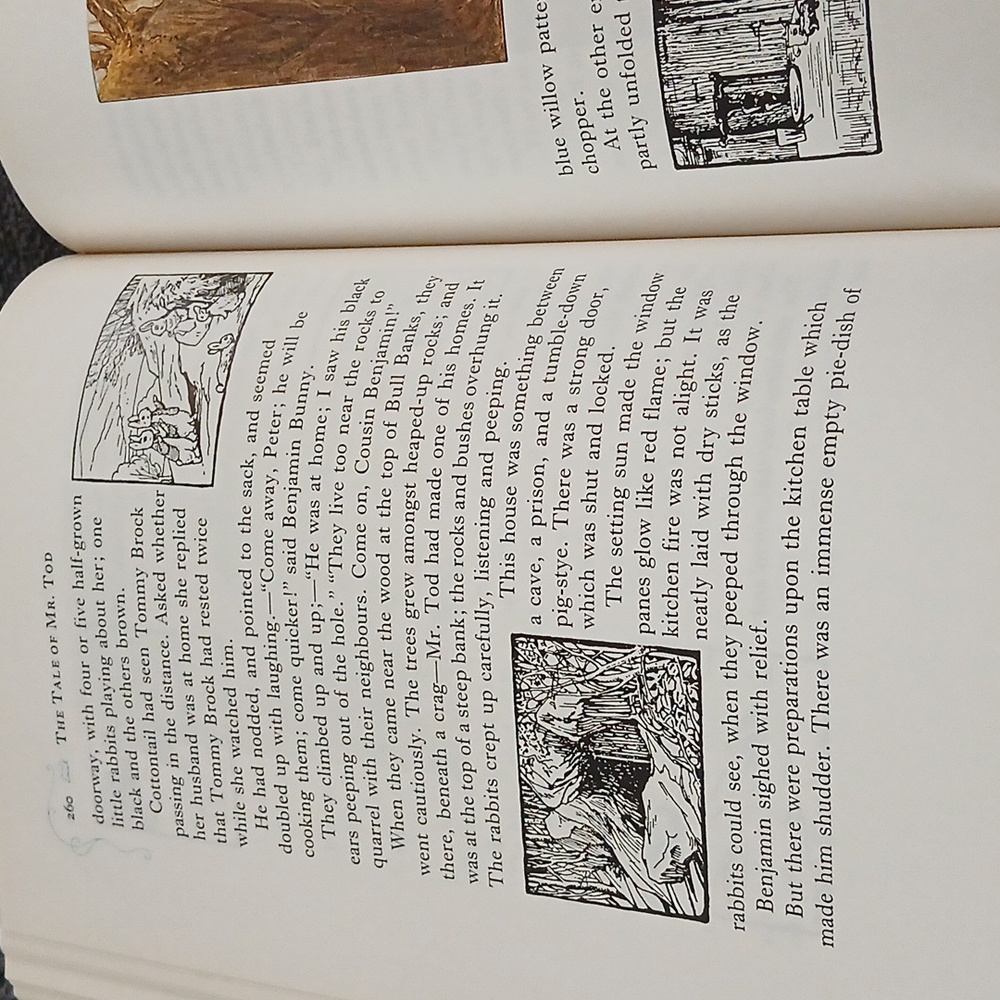 Bunny storybook - Picture 5 of 5